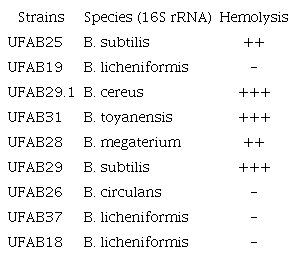 Hemolytic activity results as screen for producer strains.