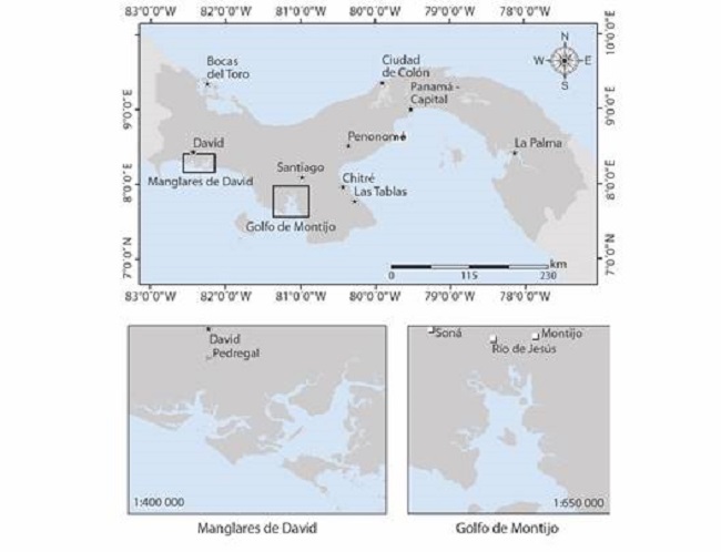 Zona de estudio, Golfo de Montijo (GM) y Manglares de David (MD), Panamá. / Fig. 1. Study zone within the Montijo Gulf (GM) and mangroves of David (MD), Panama.
