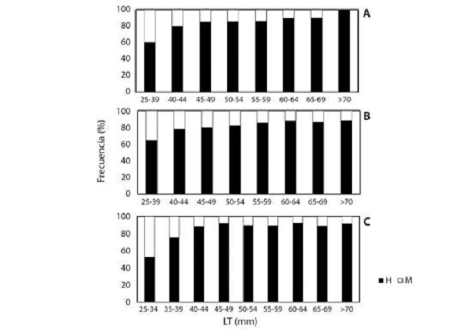 Variación en la proporción sexual en Anadara tuberculosa capturadas en el Golfo de Montijo (GM) y Manglares de David (MD). A: GM 2017, B: GM 2020, C: MD 2017. / Fig. 2. Sex ratio variation in Anadara tuberculosa from the Montijo Gulf and mangroves of David. A: GM 2017, B: GM 2020, C: MD 2017.