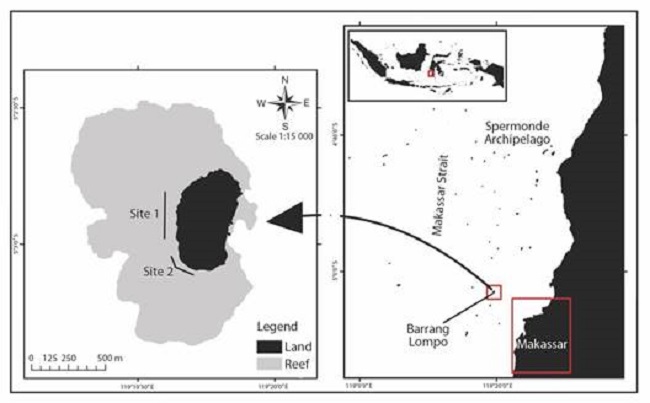 Location of the sparse (site 1) and dense (site 2) seagrass study sites around Barrang Lompo Island, Spermonde Archipelago, South Sulawesi, Indonesia. The map of the Spermonde Archipelago was adapted from Stapel (2001).