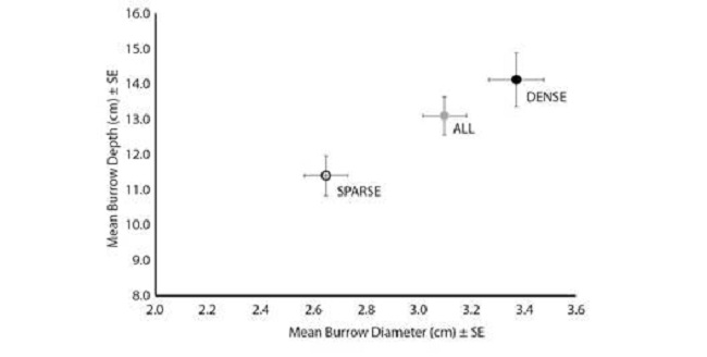 Distribution of burrows based on mean diameter (cm) and mean depth (cm). Error bars represent standard error.