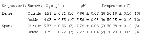Water parameters outside and inside burrows in dense and sparse seagrass beds. Values are presented as mean ± SE (n).