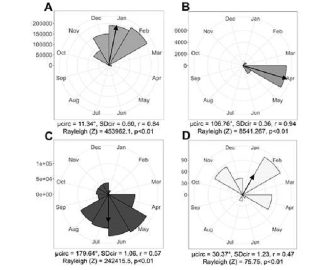 Datos fenol&oacute;gicos de campo de M. ligustrina. A. Botones. B. Flores. C. Frutos inmaduros. D. Frutos maduros. / Fig. 3. Field phenological data of M. ligustrina.A. Buttons. B. Flowers. C. Immature fruits. D. Ripe fruits.