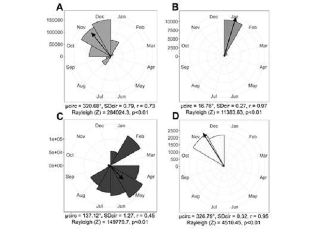 Datos fenol&oacute;gicos de campo de M. elaeoides. A. Botones. B. Flores. C. Frutos inmaduros. D. Frutos maduros. / Fig. 4. Field phenological data of M. elaeoides. A. Buttons. B. Flowers. C. Immature fruits. D. Ripe fruits.