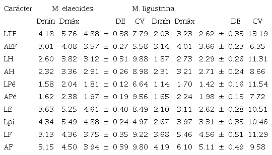 Variabilidad morfol&oacute;gica (mm) en flores y frutos de M. elaeoides y M. ligustrina. / Table 1. Morphological variability (mm) in flowers and fruits of M. elaeoides and M. ligustrina.