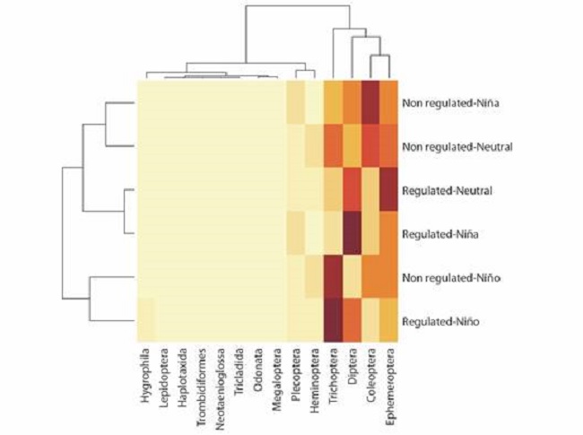 Similarity analysis in the composition of aquatic macroinvertebrate species among sites and sampling times (ENSO phenomena) at the Calderas system.