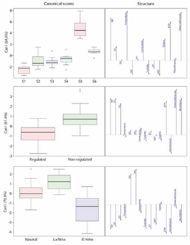 Discriminant analysis of the sampling sites, regulation condition, and ENSO phenomena, based on environmental variables, abundance, richness, and composition of aquatic macroinvertebrate species at the Calderas system. Whiskers represents the range of the values for each variable.