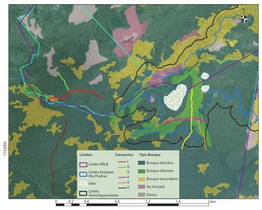 Transectos para el muestreo de fauna vertebrada terrestre en los sitios de estudio. / Fig. 1. Transepts for sampling terrestrial vertebrate fauna in the study sites.