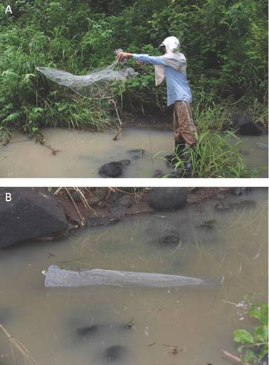 A. Empleo de atarraya en poza en Quebrada Viscoyol. B. Nasa con cebo en Quebrada Sin Nombre. / Fig. 2. A. Use of a casting net in a pool in Quebrada Viscoyol. B. Trap with bait in Quebrada Sin Nombre.