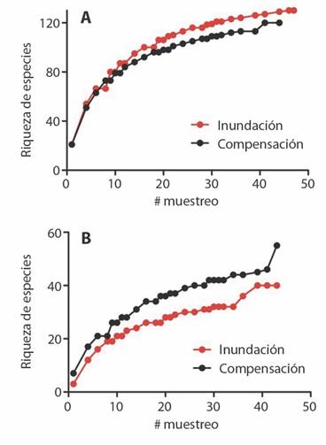 Curvas de acumulaci&oacute;n de especies le&ntilde;osas (A) y herb&aacute;ceas (B) en el sitio potencial de inundaci&oacute;n en RBLB y el sitio potencial de compensaci&oacute;n. / Fig. 3. Accumulation curves of woody (A) and herbaceous (B) plant species in the potential flood site in RBLB and the potential compensation site.