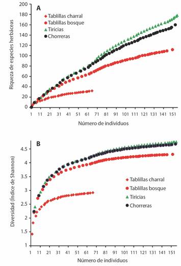 Curvas de rarefacci&oacute;n por muestreo de individuos para especies herb&aacute;ceas en el sitio de impacto (Tablillas charral y Tablillas bosque) y los potenciales sitios de compensaci&oacute;n (Tiricias y Chorreras). A) Curva para riquezas de especies. B) &Iacute;ndice de diversidad de Shannon (H). / Fig. 10. Rarefaction curves by sampling of individuals for herbaceous species at the impact site (Tablillas charral and Tablillas bosque) and the potential compensation sites (Tiricias and Chorreras). A) Curve for species richness. B) Shannon diversity index (H).