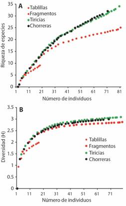 Curvas de rarefacci&oacute;n por muestreo de individuos para especies de anfibios y reptiles en el sitio de impacto (Tablillas charral y Tablillas bosque) y los potenciales sitios de compensaci&oacute;n (Tiricias y Chorreras). A) Curva para riquezas de especies. B) &Iacute;ndice de diversidad de Shannon (H). / Fig. 14. Rarefaction curves by sampling of individuals for amphibian and reptiles species at the impact site (Tablillas charral and Tablillas bosque) and the potential compensation sites (Tiricias and Chorreras). A) Curve for species richness. B) Shannon diversity index (H).