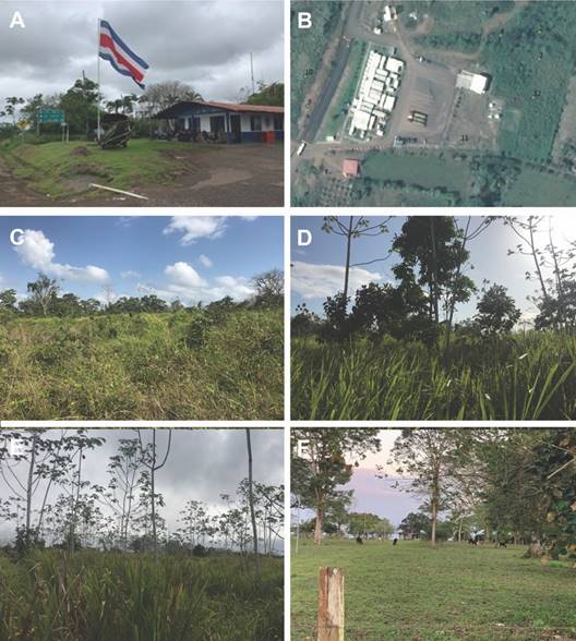 Sitio potencial de segregaci&oacute;n en Las Tablillas. A) Puesto de vigilancia. B) Huella de edificios del puesto fronterizo temporal presente al inicio de este estudio. C-D) Coberturas de vegetaci&oacute;n en el sitio. / Fig. 2. The potential site to be segregated in Las Tablillas. A) Surveillance post. B) Building footprint of the temporary border post present at the beginning of this study. C-D) Vegetation coverage on the site.