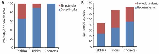 Reclutamiento de especies arb&oacute;reas en sitios boscosos de inter&eacute;s (Tablillas se refiere &uacute;nicamente a los fragmentos boscosos aleda&ntilde;os del Puesto Fronterizo). A) Porcentaje de parcelas muestreadas con evidencia de reclutamiento (pl&aacute;ntulas). B) N&uacute;mero de especies arb&oacute;reas cuyas pl&aacute;ntulas fueron encontradas en los muestreos. / Fig. 7. Recruitment of tree species in forest sites of interest (Tablillas refers only to the forest fragments surrounding the Border Post). A) Percentage of sampled plots with evidence of recruitment (seedlings). B) Number of tree species whose seedlings were found in the samplings.