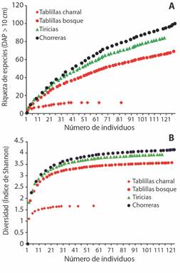 Curvas de rarefacci&oacute;n por muestreo de individuos para especies le&ntilde;osas en el sitio de impacto (Tablillas charral) y zonas aleda&ntilde;as (Tablillas bosque) y los potenciales sitios de compensaci&oacute;n (Tiricias y Chorreras). A) Curva para riquezas de especies. B) &Iacute;ndice de diversidad de Shannon (H). / Fig. 9. Rarefaction curves by sampling of individuals for woody species at the impact site (Tablillas charral) and surrounding areas (Tablillas bosque) and the potential compensation sites (Tiricias and Chorreras). A) Curve for species richness. B) Shannon diversity index (H).
