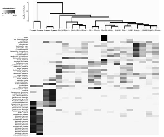 Shadeplot of the main species present in the initial residues and treatments. CKLA: king grass: pineapple peel silage inoculated with L. paracasei_6714, CKLi: king grass: pineapple peel silage inoculated with L. monocytogenes (CKLi), CKLL: king grass: pineapple peel silage inoculated with a mixture of L. paracasei_6714 and L. monocytogenes (1:1). 15 and 30 days post inoculation (dpi) process. 