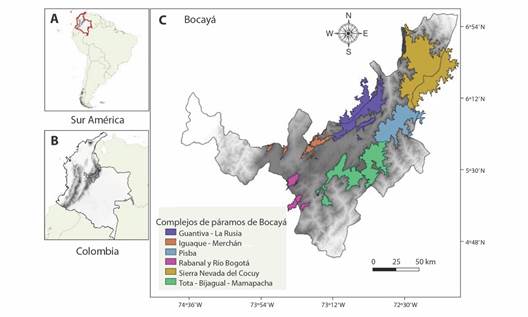 Localizaci&oacute;n de los complejos de p&aacute;ramos en Boyac&aacute;, Colombia. A. Ubicaci&oacute;n de Colombia en Suram&eacute;rica; B. Departamento de Boyac&aacute; en Colombia; C. Complejos de p&aacute;ramos en el departamento de Boyac&aacute;. / Fig. 1. Location of p&aacute;ramo complexes in Boyac&aacute;, Colombia. A. Location of Colombia in South America; B. Department of Boyac&aacute; in Colombia; C. P&aacute;ramo complexes in the department of Boyac&aacute;.