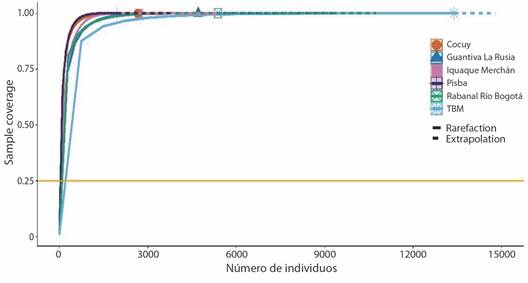 Curva de completitud de muestreo (n&uacute;mero de individuos) de bri&oacute;fitos en los complejos de p&aacute;ramos de Boyac&aacute;. L&iacute;nea s&oacute;lida ''rarefacci&oacute;n'' (n&uacute;mero de especies observadas) y l&iacute;nea punteada ''extrapolaci&oacute;n'' (n&uacute;mero de especies esperadas). / Fig. 2. Sampling completeness curve (number of individuals) of bryophytes in Boyac&aacute; p&aacute;ramo complexes. Solid line ''rarefaction'' (number of species observed) and dotted line ''extrapolation'' (number of species expected).