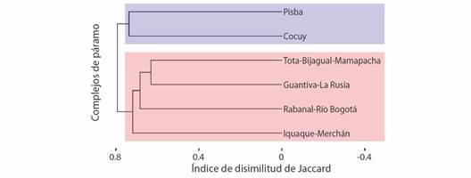 Dendrograma de la disimilitud de Jaccard entre los seis complejos de p&aacute;ramos de Boyac&aacute;, se destaca la formaci&oacute;n de dos grandes grupos (rojo y azul). / Fig. 5. Dendrogram of the Jaccard dissimilarity between the six Boyac&aacute; p&aacute;ramo complexes, the formation of two large groups (red and blue) stands out.