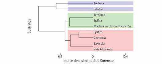 Dendrograma de la disimilitud de Sorensen de los diferentes sustratos en los p&aacute;ramos. Se destaca la formaci&oacute;n de tres grandes grupos (azul, verde y rojo). / Fig. 6. Dendrogram of the Sorensen dissimilarity of the different substrates in the p&aacute;ramos. The formation of three large groups (blue, green and red) stands out.