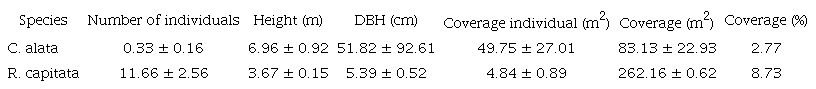 Number and size of individuals of C. alata and R. capitata in tropical dry forest plots.