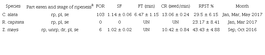 Species eaten by N. adocetus in TDF and corn crops.