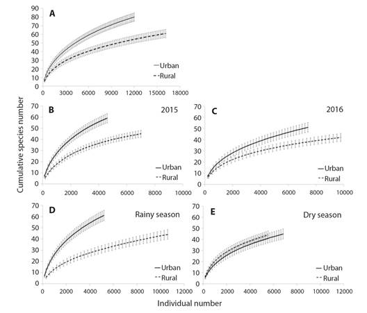 A. Sample-based rarefaction curve with the mean species number (&plusmn; standard deviation) from the seed rain in rural and urban fragments; B. in 2015; C. in 2016; D. in rainy and E. dry season; of Atlantic Forest in Northeast Brazil. There is significant difference when deviations do not touch (Colwell, 2013; Gotelli & Colwell, 2001). 