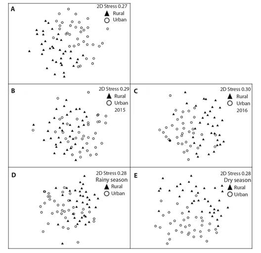 A. Non-Metric Multidimensional Scaling (NMDS) analysis of seed rain species between rural and urban fragments of the Atlantic Forest in Pernambuco, Brazil; and B. in the 2015 and C. 2016 years; and D. in the rainy and E. dry season, based on species richness. Graph symbols represent the species present in seed rain of each fragment.