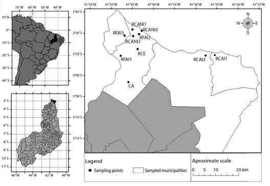Sampling points along the coast of Piau&iacute; State, Brazil.