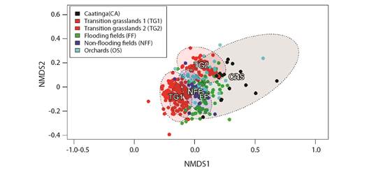 Biplot of Non-metric Multidimentional Scalling (NMDS) generated from the Bray-Curtis dissimilarity of sampling campaigns; it depicts differences in species composition of migrant bird assemblies from different vegetation types at the coast of Piau&iacute; State.
