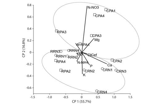 An&aacute;lisis de componentes principales que asocia a parcelas revegetadas con Acacia mangium (PA) y parcelas en regeneraci&oacute;n natural (RN) con propiedades qu&iacute;micas del suelo en Condoto (C) y Raspadura (R), Choc&oacute;, Colombia. / Fig. 3. Principal component analysis associating plots revegetated with Acacia mangium plantations (PA) and plots in natural regeneration (RN) with soil chemical properties in Condoto (C) and Raspadura (R), Choc&oacute;, Colombia.