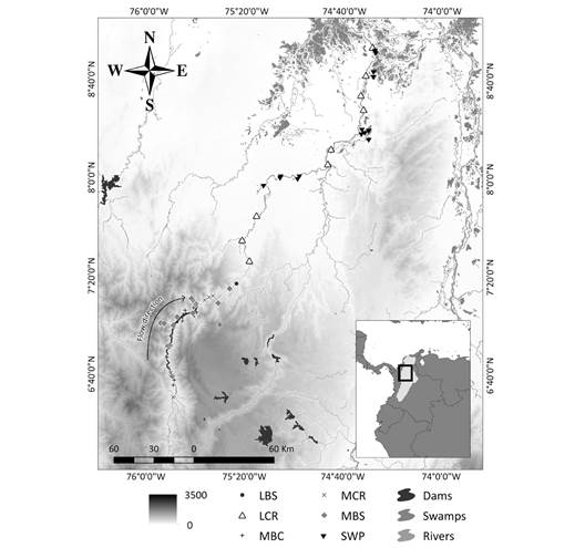 Sampling design for ichthyofauna monitoring. MCR: middle Cauca River basin, MBC: middle basin creeks, MBS: streams flowing into the middle Cauca River basin, LCR: lower Cauca River basin, LBS: streams flowing into the lower Cauca River basin, and SWP: swamps.