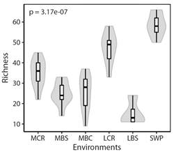 Species richness according to environment. The shape of the violin diagram shows the data distribution, where the widest sections represent a greater number of species and narrower sections indicate a smaller number of species observed. P value from the Kruskal-Wallis test is shown for richness amongst environments. Environments were identified from the middle basin toward the lower basin, as follows: (MCR) middle Cauca River basin, (MBC) middle basin creeks, (MBS) streams flowing into the middle Cauca River basin, (LCR) lower Cauca River basin, (LBS) streams flowing into the lower Cauca River basin, and (SWP) swamps.