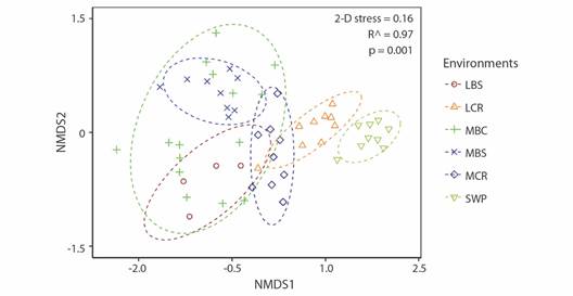 Ordering of fish assemblages into aquatic environments using non-metric multidimensional scaling (nMDS), using Jaccard's similarity index. Environments are represented using symbols, and assemblage groups are represented with lines (70 % similarity). (MCR) middle Cauca River basin, (MBC) middle basin creeks, (MBS) streams flowing into the middle Cauca River basin, (LCR) lower Cauca River basin, (LBS) streams flowing into the lower Cauca River basin, and (SWP) swamps.