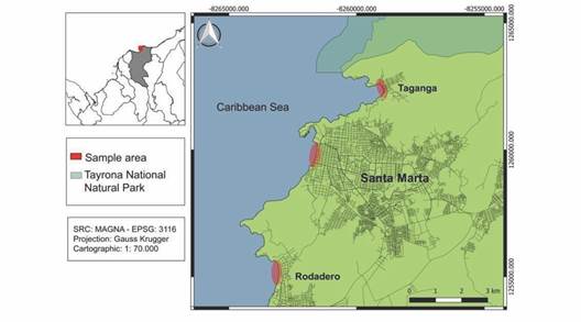 Santa Marta region. The three sampled urban beaches are highlighted in red.