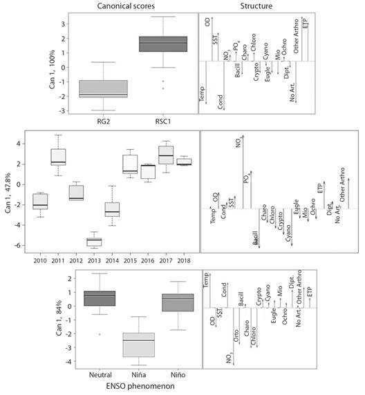 Discriminant analysis between sampling sites and times, based on environmental variables and composition of benthic species. Abbreviations: Temp = water temperature, DO = dissolved oxygen, TSS = total suspended solids, Cond = electrical conductivity, NO3 = nitrates, PO4 = orthophosphates, Bacill = Bacillariophyta, Charo = Charophyta, Chlo = Chlorophyta, Crypto = Cryptophyta, Cyano = Cyanobacteria, Eugle = Euglenozoa, Mio = Miozoa, Ochro = Ochrophyta, Dipt = Diptera, No Art. = no arthropods, Other Art. = other arthropods, ETP = Ephemeroptera, Trichoptera, Plecoptera.