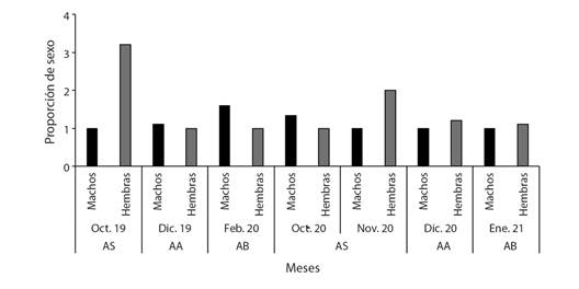 N&uacute;mero de individuos por meses para machos y hembras de Plagioscion magdalenae en el embalse El Gu&aacute;jaro, bajo Magdalena, Colombia. AS: aguas subiendo, AA: aguas altas, AB: aguas bajando. / Fig. 3. Number of individuals per month for males and females of Plagioscion magdalenae in El Gu&aacute;jaro reservoir, lower Magdalena, Colombia. AS: rising water, AA: high water, AB: waters going down.