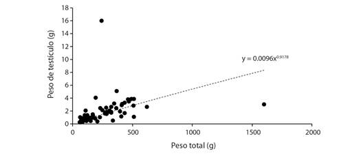 Relaci&oacute;n de peso total y peso de la g&oacute;nada para machos de Plagioscion magdalenae en el embalse El Gu&aacute;jaro, bajo Magdalena, Colombia. / Fig. 5. Ratio of total weight and gonad weight for males of Plagioscion magdalenae in El Gu&aacute;jaro reservoir, lower Magdalena, Colombia.