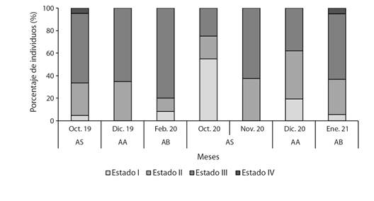 Frecuencia relativa (%) de estados de madurez sexual para sexos agrupados de Plagioscion magdalenae en el embalse El Gu&aacute;jaro, bajo Magdalena, Colombia. / Fig. 6. Relative frequency (%) of sexual maturity stages for grouped sexes of Plagioscion magdalenae in El Gu&aacute;jaro reservoir, lower Magdalena, Colombia.