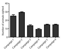 Demographic census of released parrots that were visiting the feeder or present in the remediations by monitoring campaign. The campaigns occurred as follows: Campaign 1-May 2015 (18 monitoring days), Campaign 2-June 2015 (seven monitoring days), Campaign 3-September 2015 (seven monitoring days), Campaign 4-December 2015 (five monitoring days), Campaign 5-March 2016 (three monitoring days) and Campaign 6-May 2016 (three monitoring days).