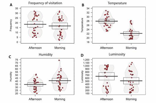 Evaluation between morning/afternoon periods. In A. frequency of visits to the feeder, in B. temperature differences, in C. humidity, and in D. luminosity. The red dots are the raw data, the horizontal black line represents the mean, bean is the density, and the rectangle is the confidence interval.