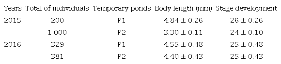 Body length (mean ± SD) and larval development stage (mean ± SD) of R. arenarum collected in 2015 and 2016 in the temporary ponds P1 and P2.