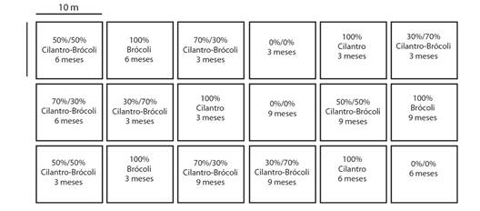 Dise&ntilde;o experimental de muestro en parcelas. / Fig. 1. Experimental sample design in plots.