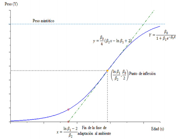Curva de crecimiento sigmoideo y puntos de inter&eacute;s.