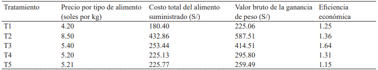 Evaluaci&oacute;n econ&oacute;mica
