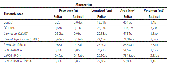 Efecto de la inoculaci&oacute;n simple y combinada de HFMA y PGPR sobre algunos par&aacute;metros de crecimiento en plantas de mora (Rubus glaucus  L.) ecotipo monterrico a los 80 dds