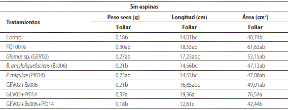 Efecto de la inoculaci&oacute;n simple y combinada de HFMA y PGPR sobre algunos par&aacute;metros de crecimiento en plantas de mora del ecotipo sin espinas a los 60 dds