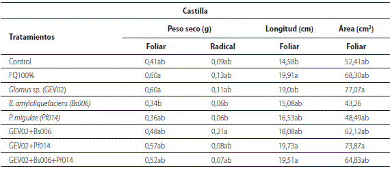 Efecto de la inoculaci&oacute;n simple y combinada de HFMA y PGPR sobre algunos par&aacute;metros de crecimiento en plantas de mora ecotipo castilla a los 80 dds