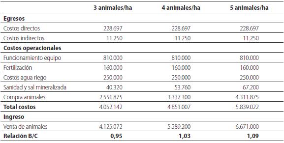 Estructura de costo y an&aacute;lisis econ&oacute;mico de la producci&oacute;n de carne en Brachiaria  h&iacute;brido cv. Mulato II con tres cargas animales, irrigado y fertilizado en el valle del Sin&uacute;