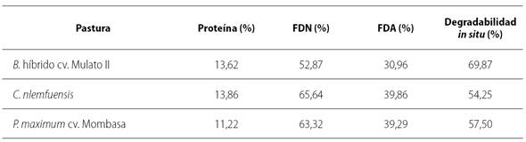 Composici&oacute;n qu&iacute;mica y degradabilidad in situ de la materia seca de tres pasturas en &eacute;poca seca en el valle medio del r&iacute;o Sin&uacute;.